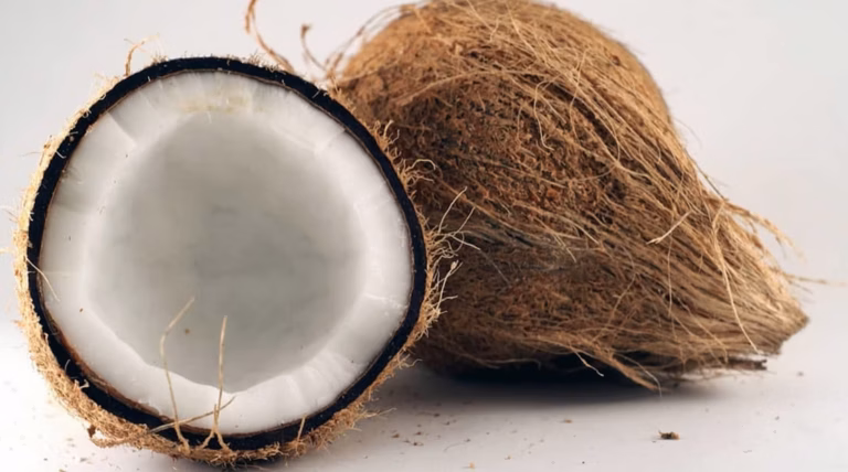 Huile de coco pour cheveux secs : guide d&rsquo;utilisation