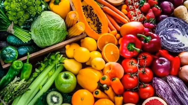 Podcasts] Le Cabinet de Maître Yodu : Élaborer une Stratégie de Nutrition Optimale – Étude de Cas Inspirante